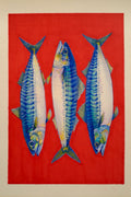 Mackerel