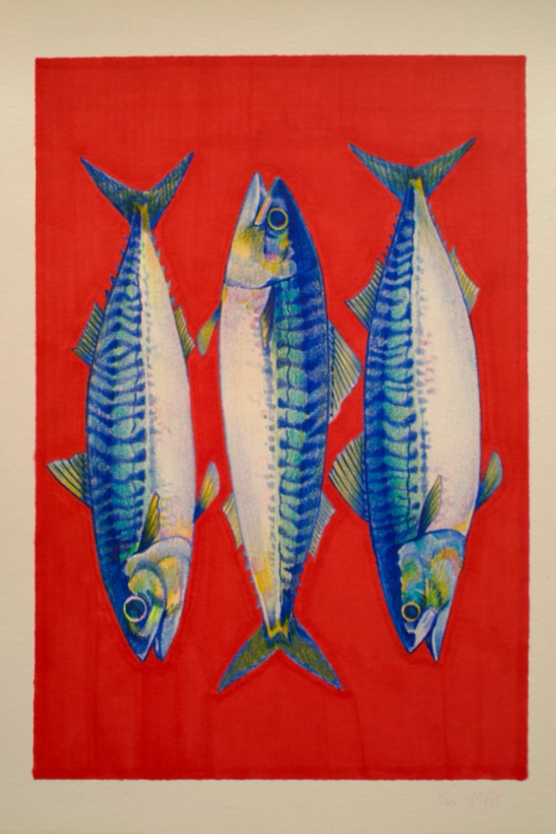 Mackerel